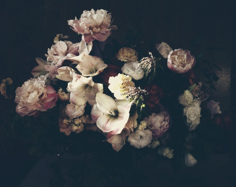 Image by Ashley Woodson Bailey