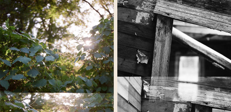 An example of camera advancement malfunction in scanned images