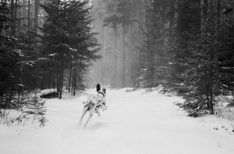 Image by Johnny Patience