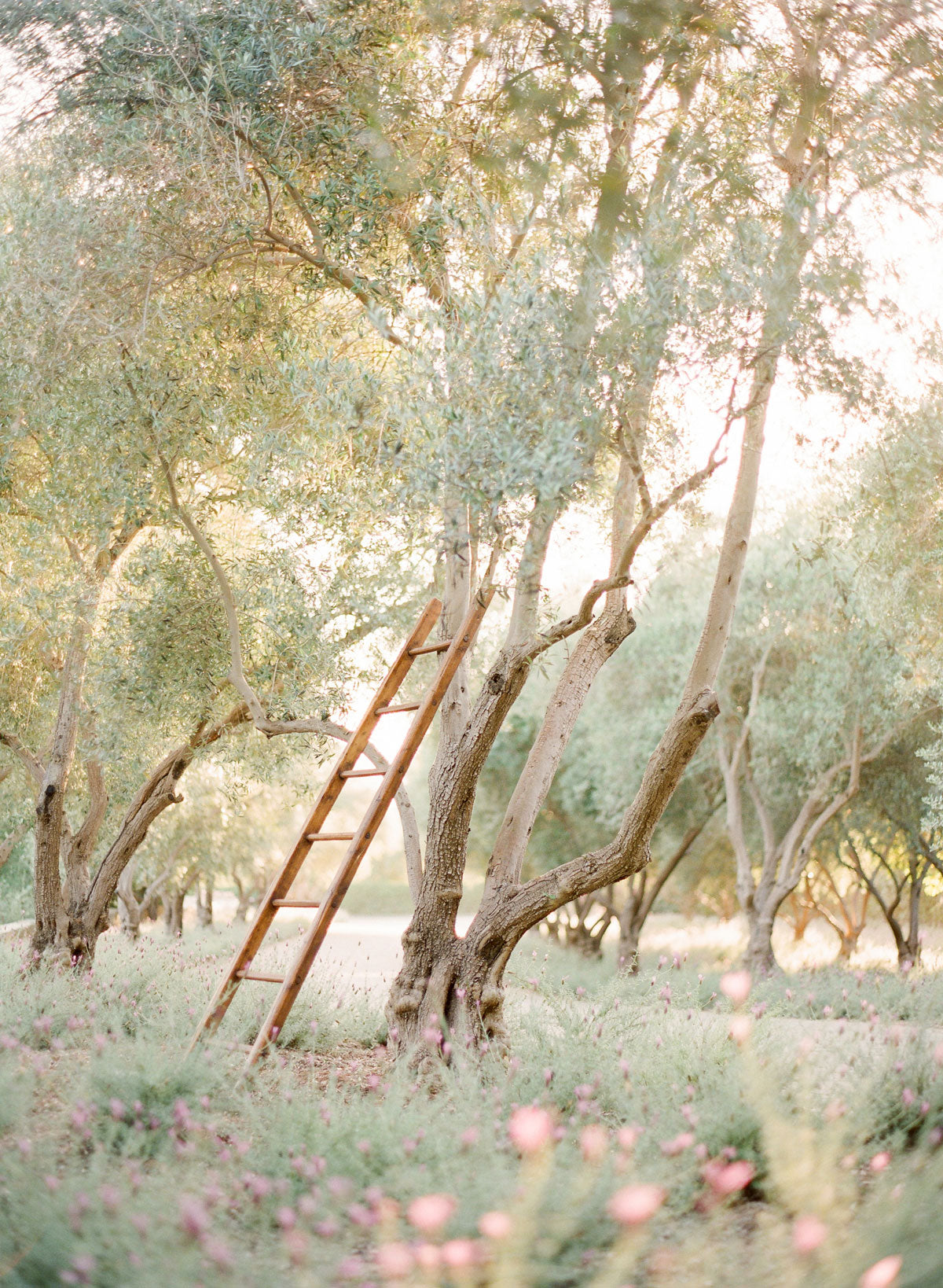 Photo by KT Merry