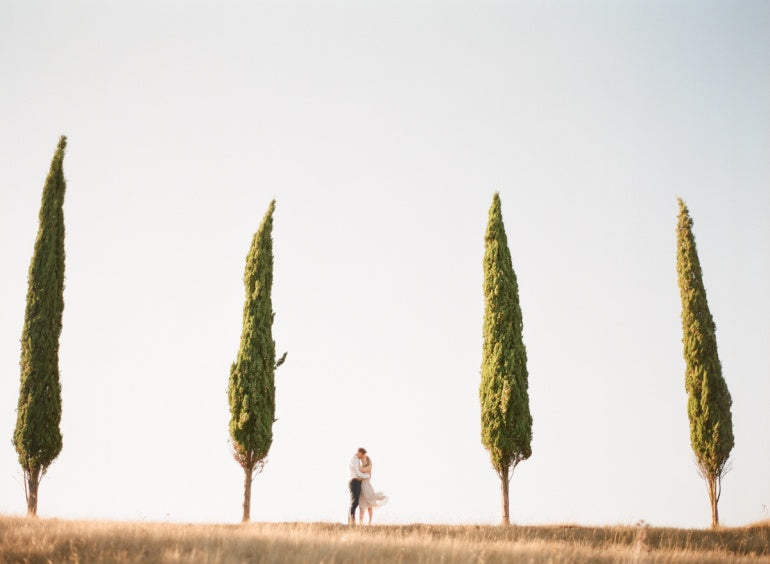 Image by Greg Finck