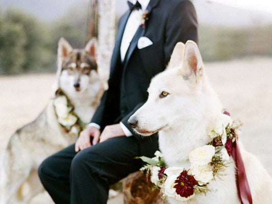 The Pros and Cons of Styled Shoots
