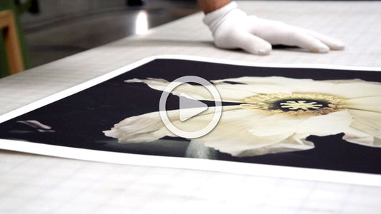 Behind The Print: Fine Art Prints