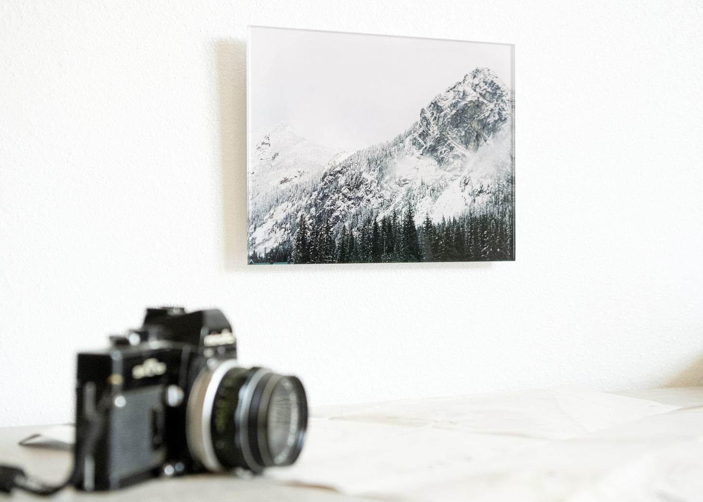 Acrylic Prints