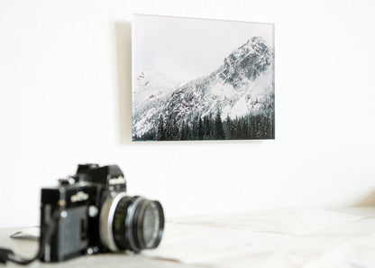 Acrylic Prints