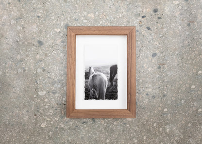 Float Frames