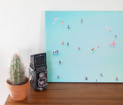 Canvas